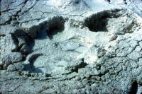 Albums/19800801-Canada/19800806-Yell/53