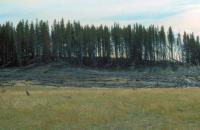 Albums/19800801-Canada/19800806-Yell/61