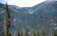 Albums/19800801-Canada/19800806-Yell/64