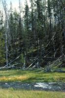 Albums/19800801-Canada/19800806-Yell/63