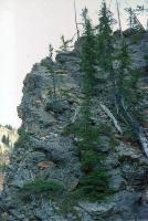 Albums/19800801-Canada/19800806-Yell/77