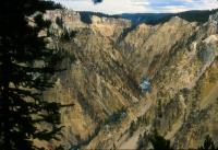 Albums/19800801-Canada/19800806-Yell/80