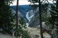 Albums/19800801-Canada/19800806-Yell/79