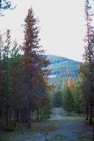 Albums/19800801-Canada/19800806-Yell/66