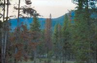 Albums/19800801-Canada/19800806-Yell/65