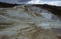 Albums/19800801-Canada/19800806-Yell/19