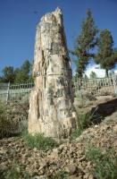 Albums/19800801-Canada/19800806-Yell/26