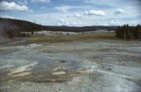 Albums/19800801-Canada/19800806-Yell/31