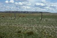 Albums/19800801-Canada/19800807-YtoW/0