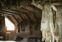 Albums/19800801-Canada/19800807-YtoW/23