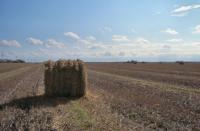 Albums/19800801-Canada/19800807-YtoW/30