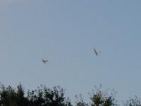 Albums/20030520-Gliding/8