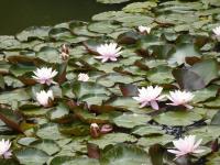 Albums/20140712-wedding/1