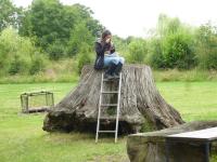 Albums/20140712-wedding/3