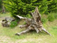 Albums/20140712-wedding/4