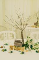 Albums/20140712-wedding/123