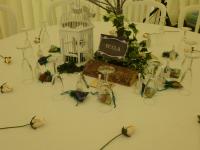 Albums/20140712-wedding/125