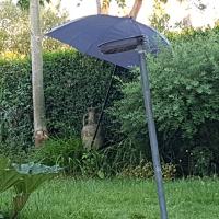 Albums/20200531-Great_Tits/19